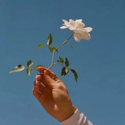 波比绳英雄游戏3d版下载
